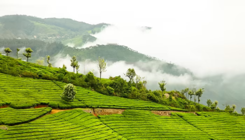 3 days trip from bangalore