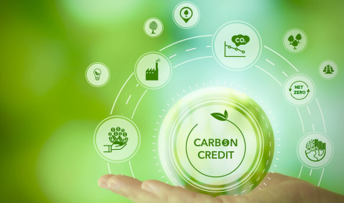 Carbon Credit Feasibility Study