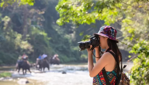 sundarban tour operator